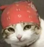游核