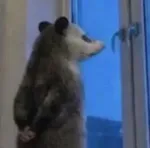 游核