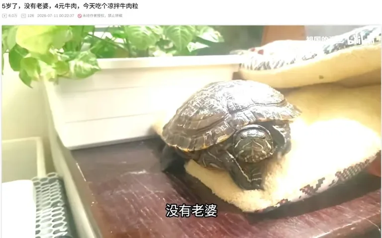 游核
