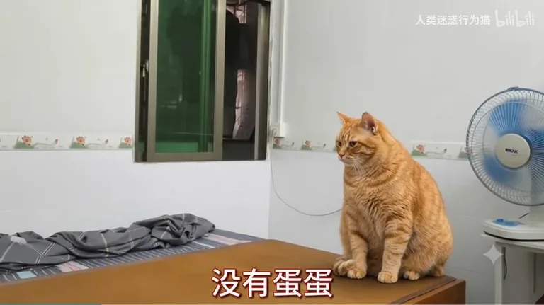 游核