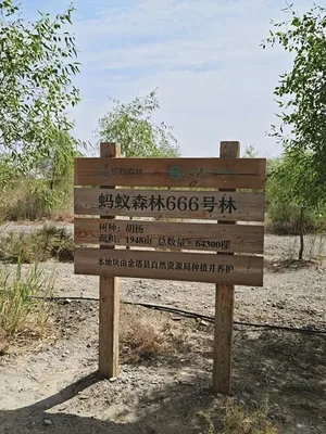 游核