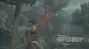游核