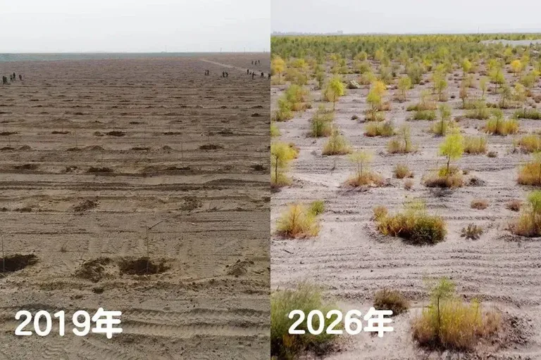 游核
