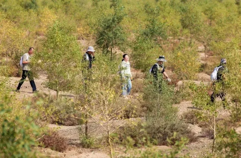 游核